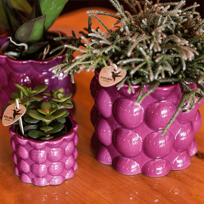 Kolibri Home | Cotton Shine Übertopf - Purple - Ø12cm 