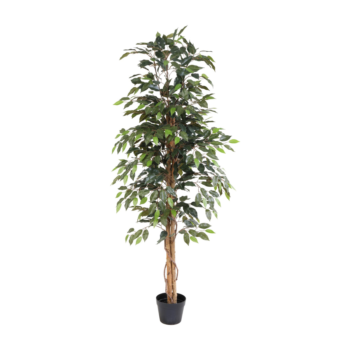 ARTIFICIAL Ficus Benjamina - 160cm 