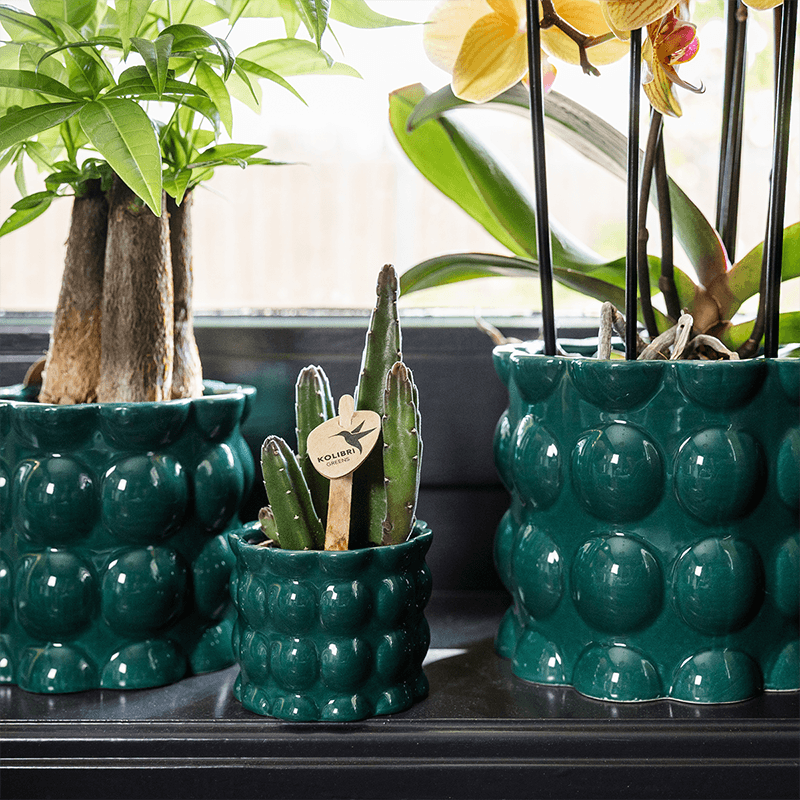 Kolibri Home | Cotton Shine Übertopf - Green - Ø12cm 