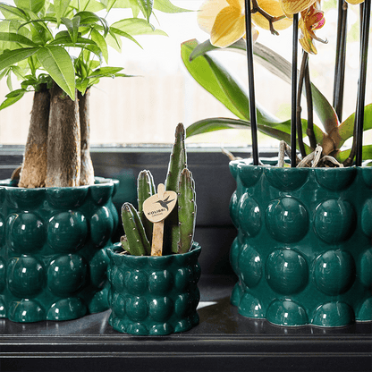 Kolibri Home | Cotton Shine Übertopf - Green - Ø12cm 