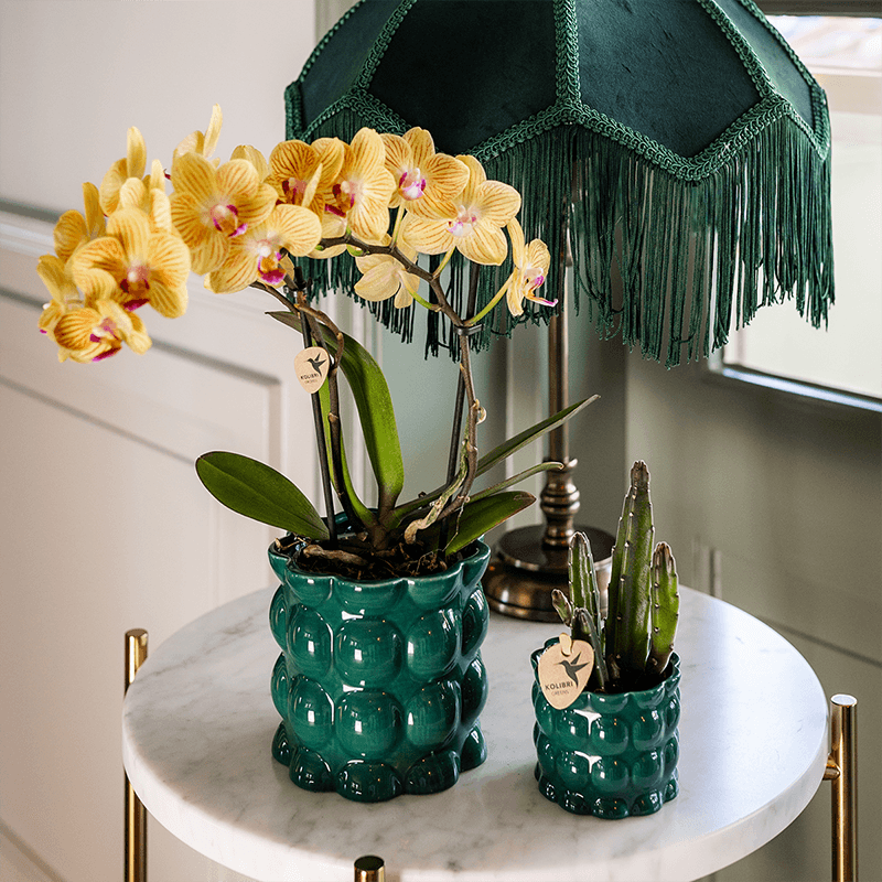 Kolibri Home | Cotton Shine Übertopf - Green - Ø9cm 