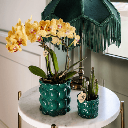 Kolibri Home | Cotton Shine Übertopf - Green - Ø9cm 