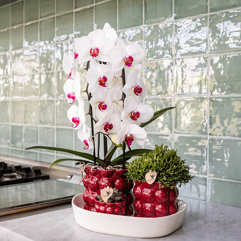 Kolibri Home | Cotton Shine Übertopf - Red - Ø6cm 