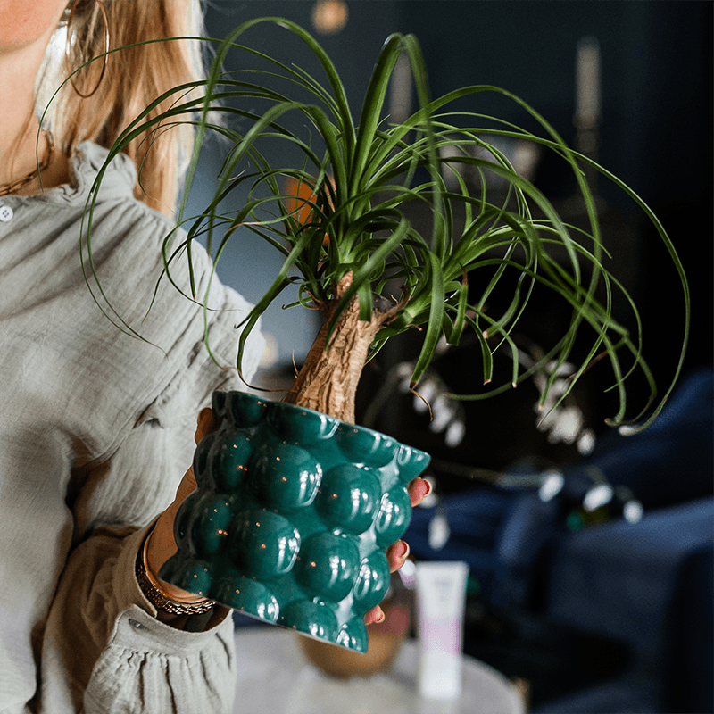 Kolibri Home | Cotton Shine Übertopf - Green - Ø9cm 
