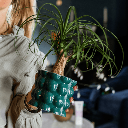 Kolibri Home | Cotton Shine Übertopf - Green - Ø9cm 