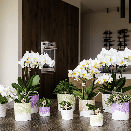 Kolibri Home | Bloom sierpot - Sand - Ø9cm 