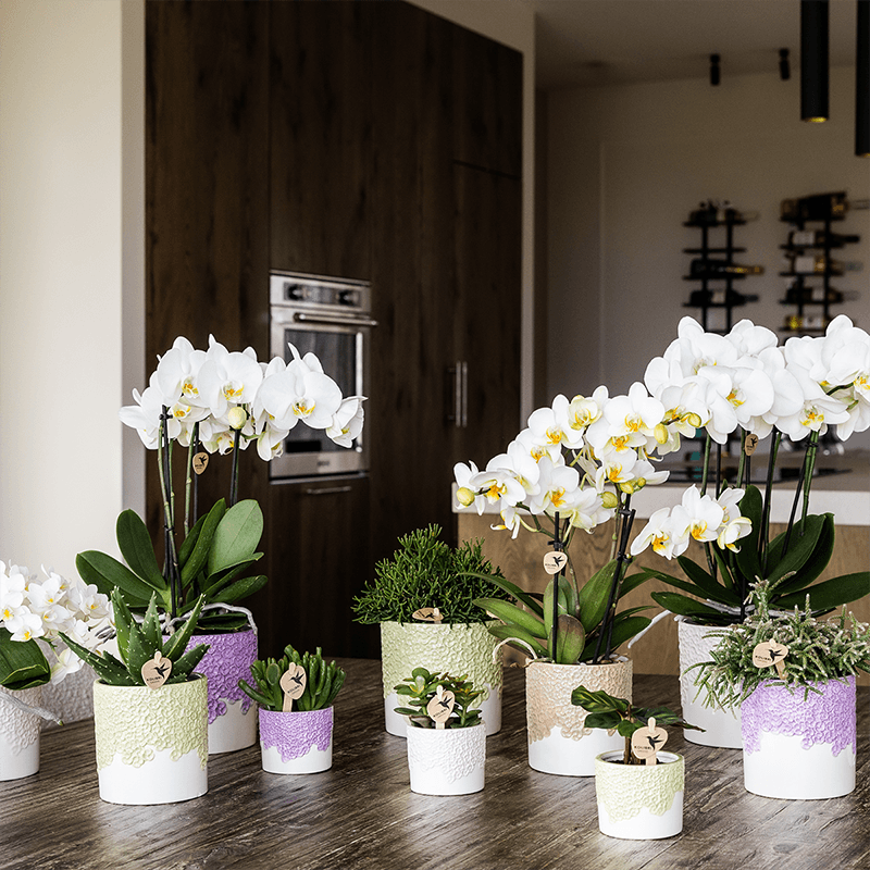 Kolibri Home | Bloom sierpot - Sand - Ø12cm 