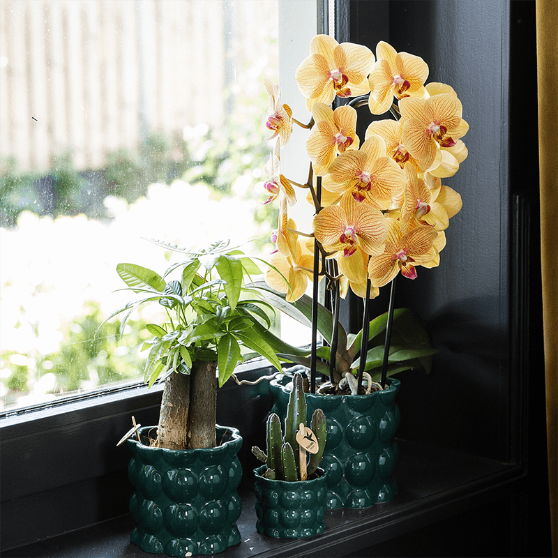 Kolibri Home | Cotton Shine Übertopf - Green - Ø12cm 