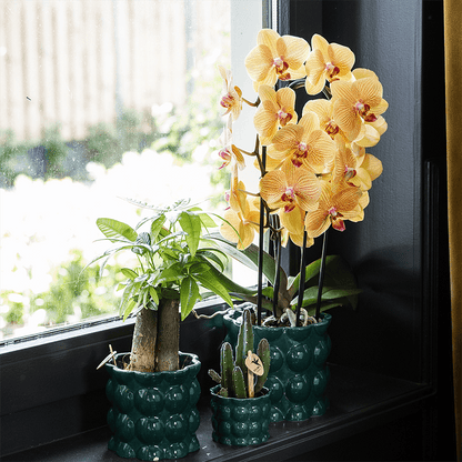 Kolibri Home | Cotton Shine Übertopf - Green - Ø12cm 