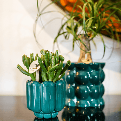 Kolibri Home | Cotton Shine Übertopf - Green - Ø9cm 