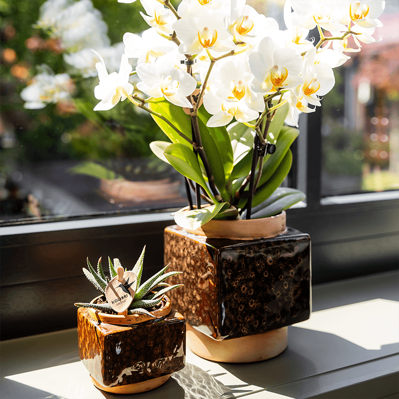 Kolibri Home | Classy Cube Ziertopf - Ø6cm 