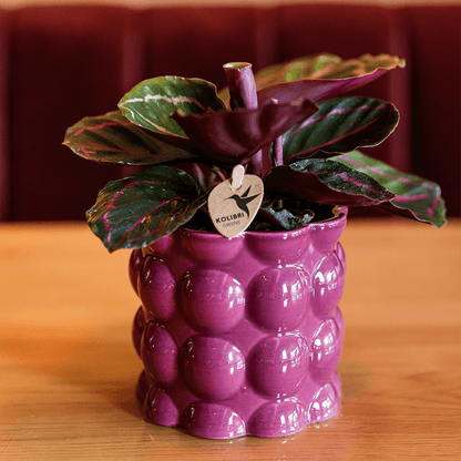 Kolibri Home | Cotton Shine Übertopf - Purple - Ø9cm 