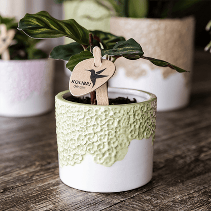 Kolibri Home | Bloom sierpot - Green - Ø9cm 