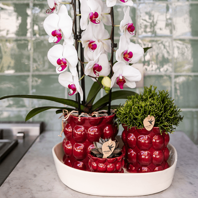 Kolibri Home | Cotton Shine Übertopf - Red - Ø9cm 