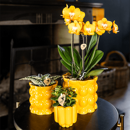 Kolibri Home | Cotton Shine Übertopf - Yellow - Ø9cm 