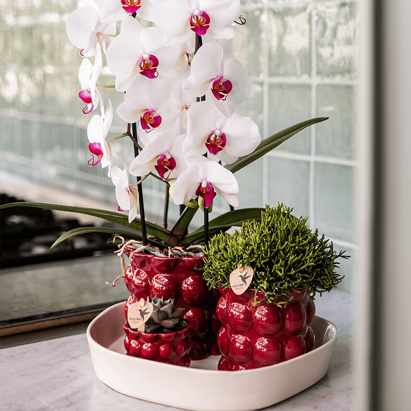 Kolibri Home | Cotton Shine Übertopf - Red - Ø9cm 