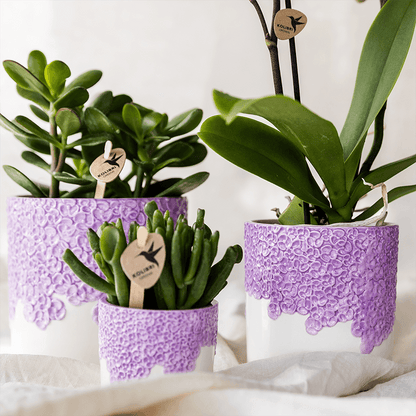 Kolibri Home | Bloom sierpot - Lila - Ø6cm 