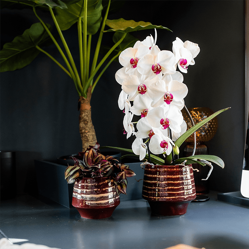 Kolibri Home | Moonstone Burgundy Übertopf - Ø12cm 