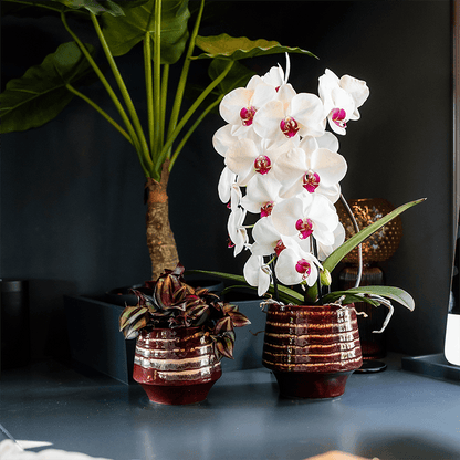 Kolibri Home | Moonstone Burgundy Übertopf - Ø12cm 