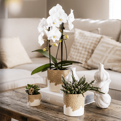 Kolibri Company | Kombi‑Deal | Bloom Sand Übertopf‑Set – 6 cm + 9 cm + 12 cm 