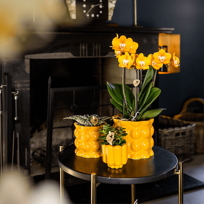 Kolibri Home | Cotton Shine Übertopf - Yellow - Ø9cm 
