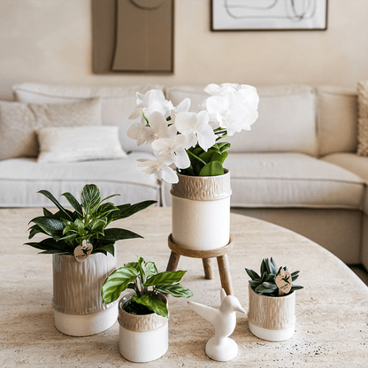 Kolibri Home | Tree Übertopf - Sand - Ø9cm 