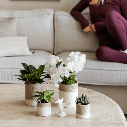 Kolibri Home | Tree Übertopf - Sand - Ø9cm 