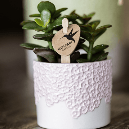 Kolibri Company | Kombi‑Deal | Bloom Rosa Übertopf‑Set – 6 cm + 9 cm + 12 cm 