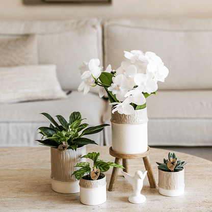 Kolibri Home | Tree Übertopf - Sand - Ø6cm 