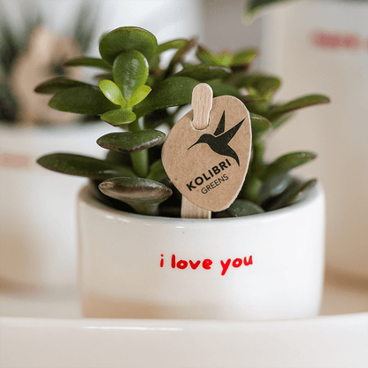 Kolibri Home | I Love You Ziertopf - Ø6cm 