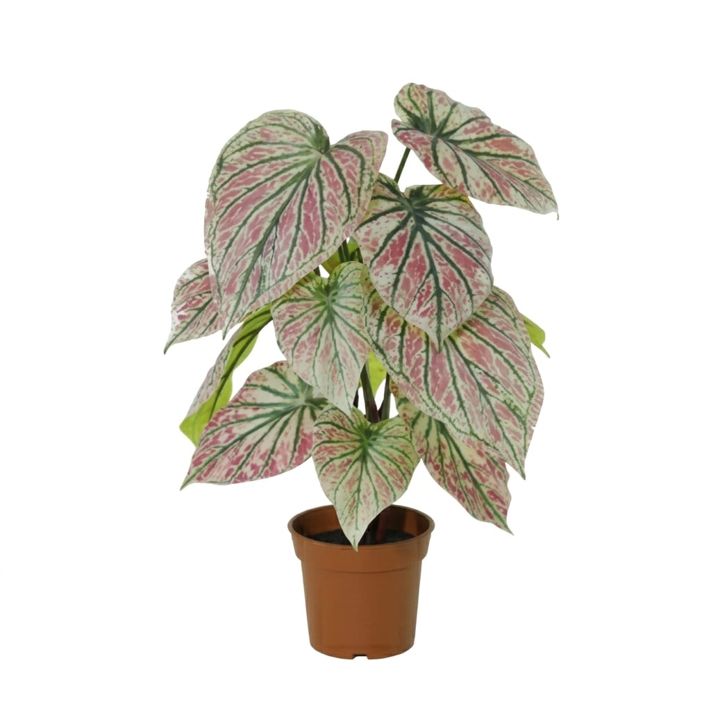 ARTIFICIAL Caladium green / pink - 57cm 