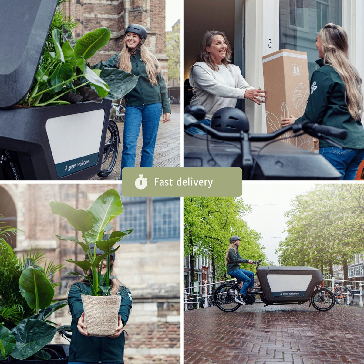 Tillandsia Air Mix – 20 Stück Luftpflanzen – Ø6cm – ca. 6cm hoch – Pflegeleichte Tillandsien-Mischung – Erdlos & dekorativ – Für kreative Wohnideen 