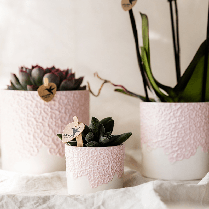 Kolibri Home | Bloom sierpot - Pink - Ø12cm 