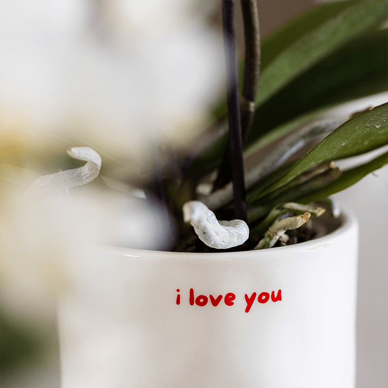 Kolibri Home | I Love You Ziertopf - Ø9cm 