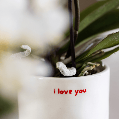 Kolibri Home | I Love You Ziertopf - Ø9cm 