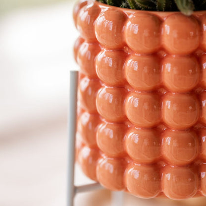 Kolibri Company | Pflanzenset Poppy Orange Orchids | Orange Bolzano Orchidee inkl. Poppy Peach & Poppy Orange Keramikübertöpfe – Topfgröße Ø9 cm 
