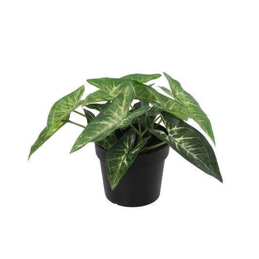ARTIFICIAL Syngonium - 15cm 
