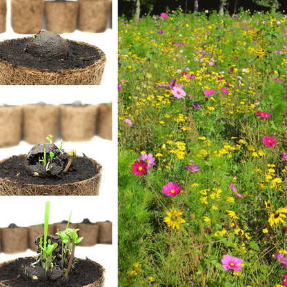 Lose Wildblumen-Samenbomben, unverpackt 