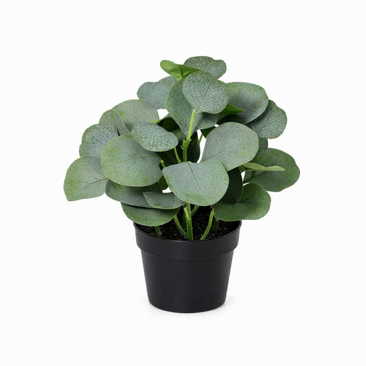 ARTIFICIAL Eucalyptus - 21cm 