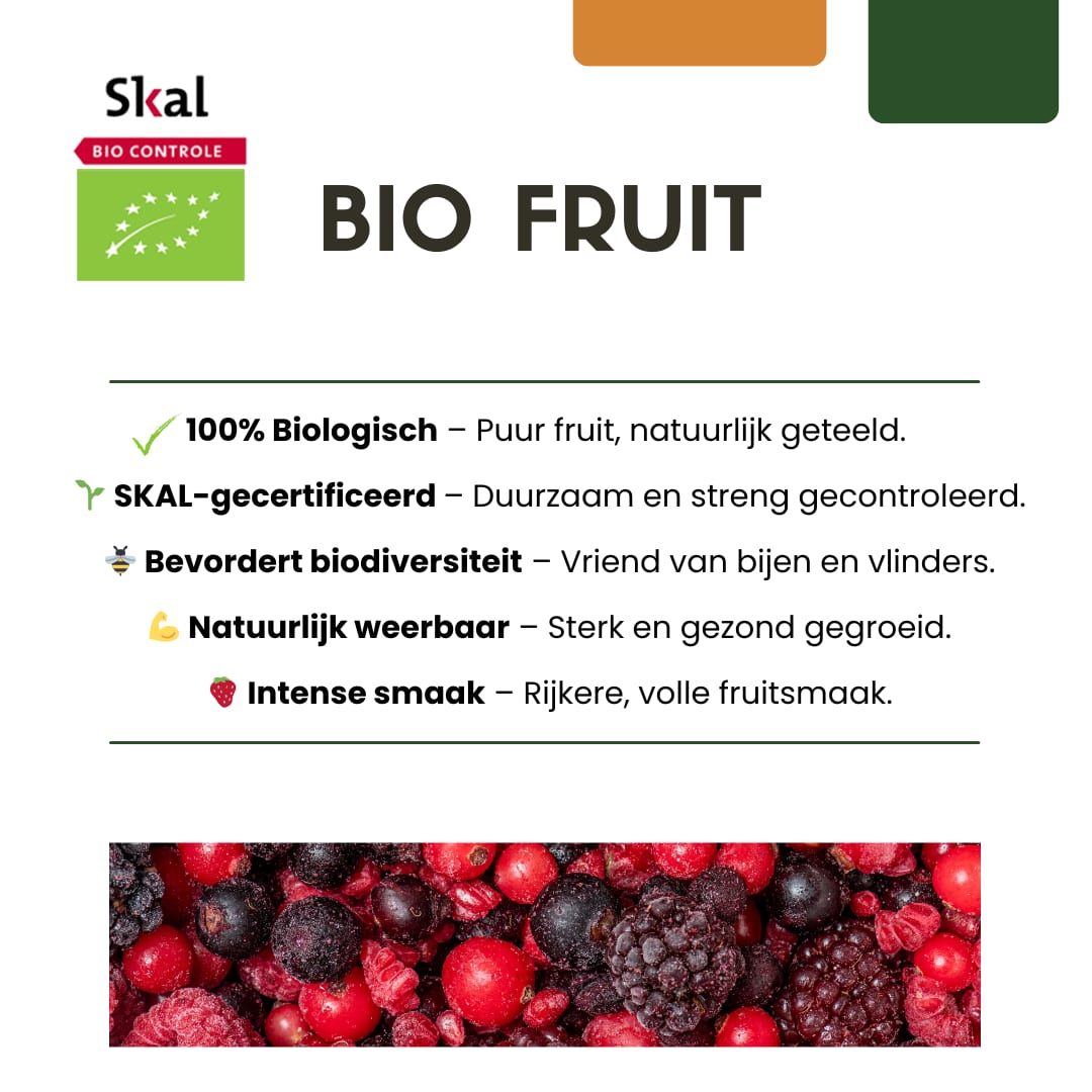 BIO Obstpflanzen Set – Himbeere, Johannisbeere, Blaubeere, Brombeere – 4 Sorten – Biologisches Fruchtparadies Paket – Pflegeleicht & Fruchtreich 