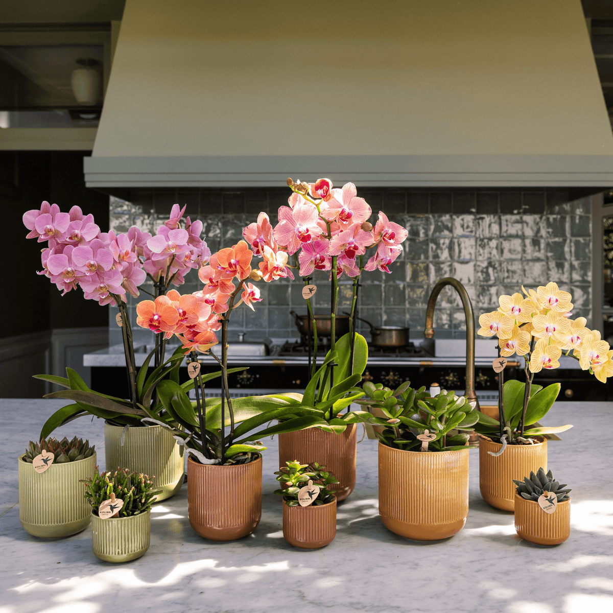 Flare Dekotopf Green – Ø12cm – Grüner Blumentopf mit Rillenstruktur – Retro-Design im Stil der Bold Seventies – Für Innenräume & stilvolle Pflanzenpräsentation 