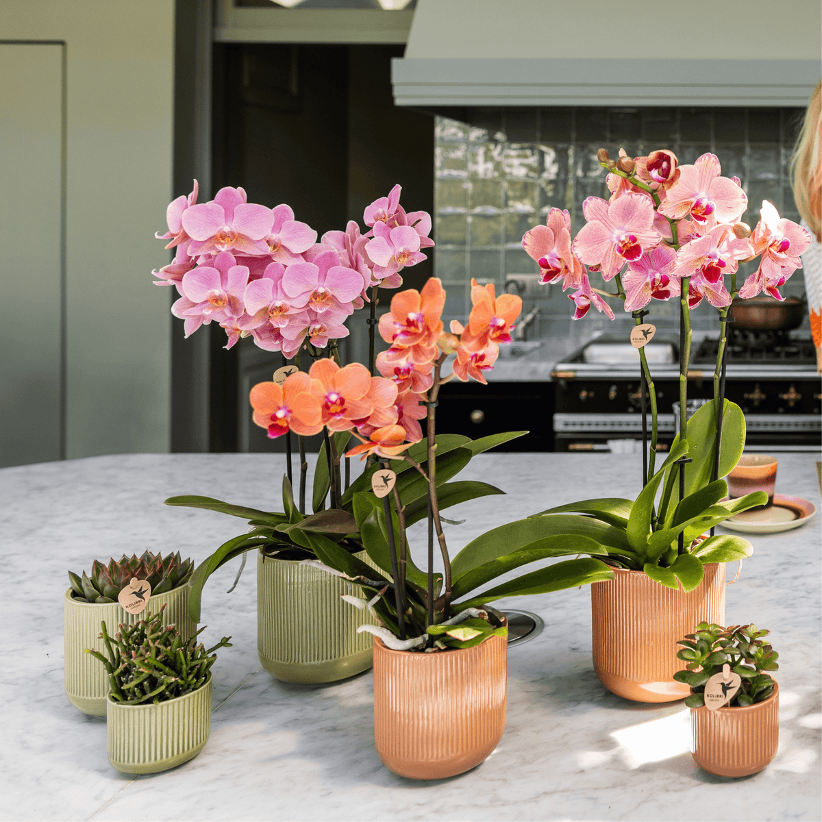 Flare Dekotopf Green – Ø12cm – Grüner Blumentopf mit Rillenstruktur – Retro-Design im Stil der Bold Seventies – Für Innenräume & stilvolle Pflanzenpräsentation 