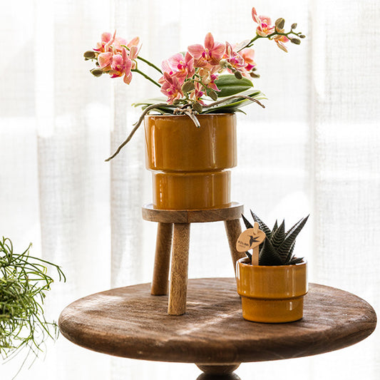 Übertopf 'Timeless' – Kolibri Home – Gelb – Ø6cm – Ansicht 2