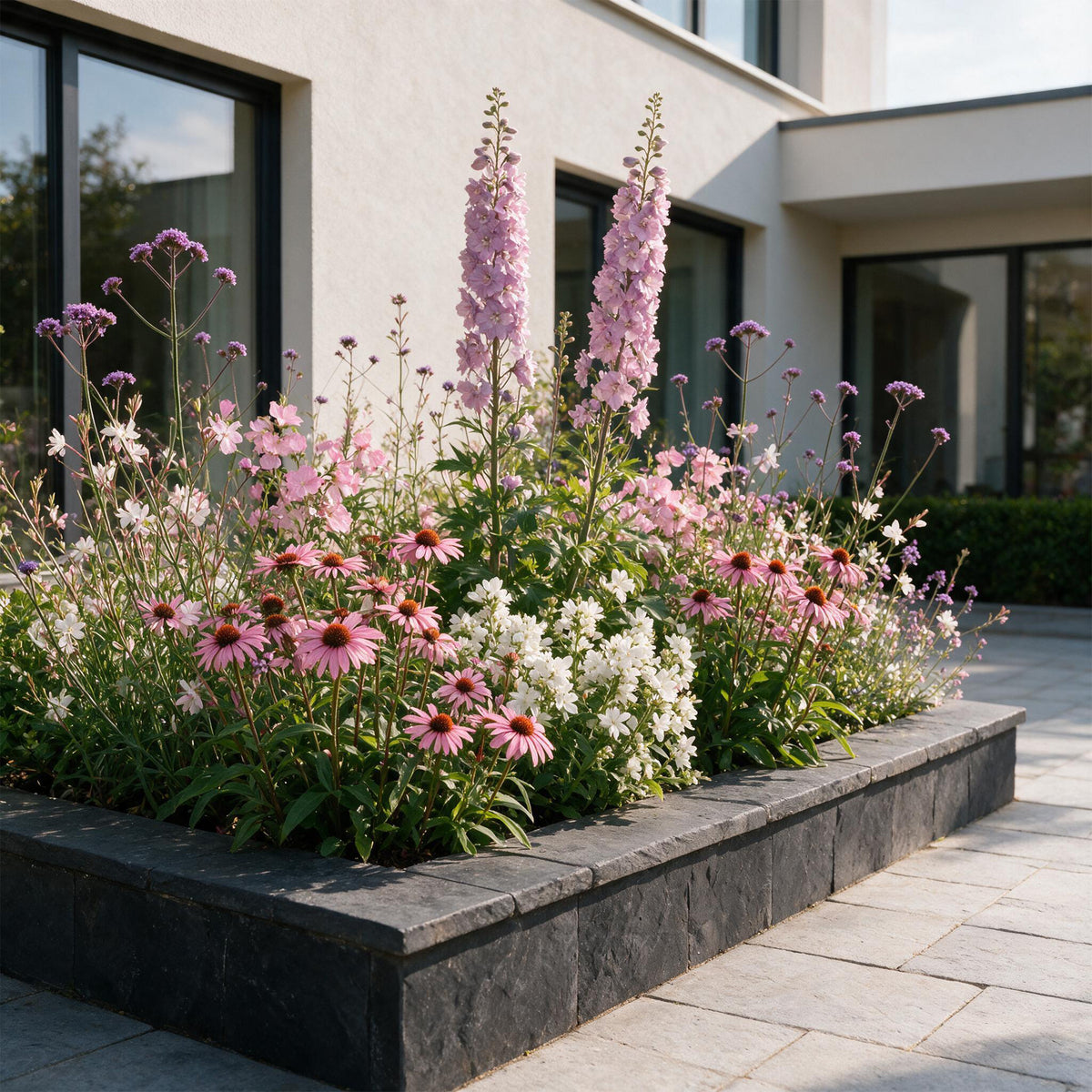Stauden-Beetpaket für Bienen & Schmetterlinge – Topf Ø11cm