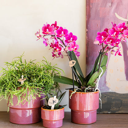 Kolibri Home 'Timeless' Übertopf – Rosa – Ø12cm – Ansicht 2