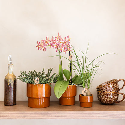 Übertopf 'Timeless' – Kolibri Home – Orange – Ø12cm – Ansicht 3