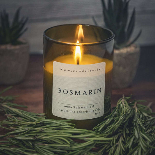 Rosmarin Duftkerze – Handgefertigte Sojawachskerze – 250ml – Kräuterfrischer Duft aus ätherischem Rosmarin – Nachhaltige Kerze im Upcycling-Weinglas
