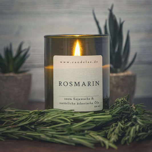 Rosmarin Duftkerze – Handgefertigte Sojawachskerze – 250ml – Kräuterfrischer Duft aus ätherischem Rosmarin – Nachhaltige Kerze im Upcycling-Weinglas