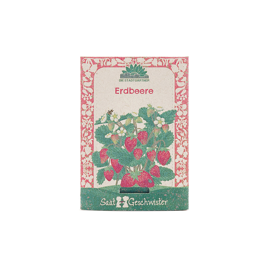 Saatgut Erdbeere 