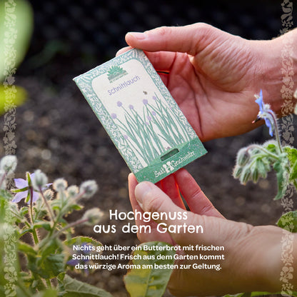BIO-Saatgut Schnittlauch 